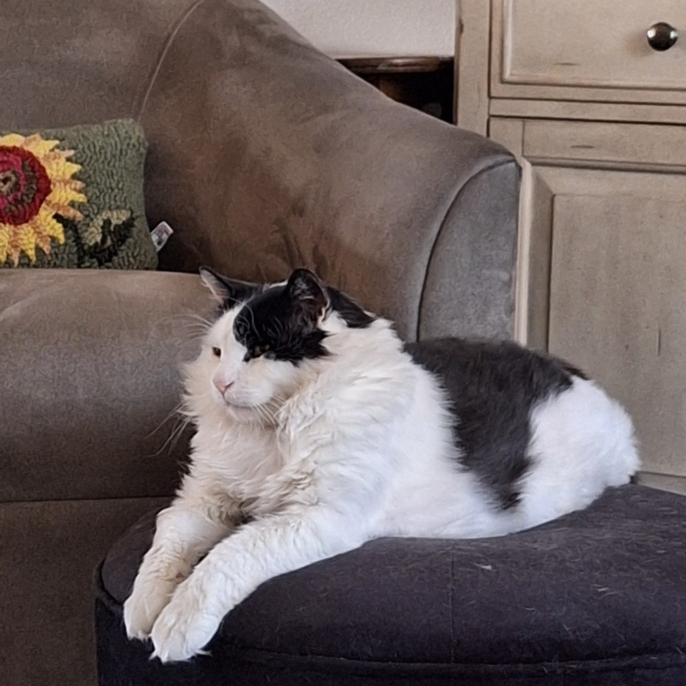 Meet your Posher, Shari